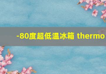 -80度超低温冰箱 thermo